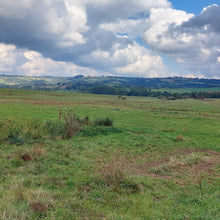 Charger l'image dans la galerie, Houmous Bio - 200g | Ferme de Hyars - Aveyron