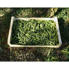 Charger l'image dans la galerie, Cornichons bio du cantal 350g