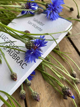 Charger l'image dans la galerie, Chocolat noir salvado san vicente 81%