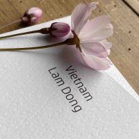 Charger l'image dans la galerie, Chocolat noir 87% Vietnam Lam Dong 65g