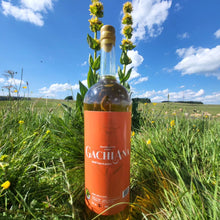 Charger l'image dans la galerie, Gachiana - Apéritif à base de Gentiane 70 cl