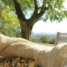 Charger l'image dans la galerie, Huile de noix première pression 50 cl