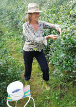 Charger l'image dans la galerie, Confiture artisanale de myrtilles 330g