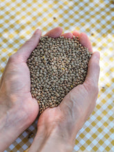 Charger l'image dans la galerie, Lentilles blondes Les Frontilles 500g